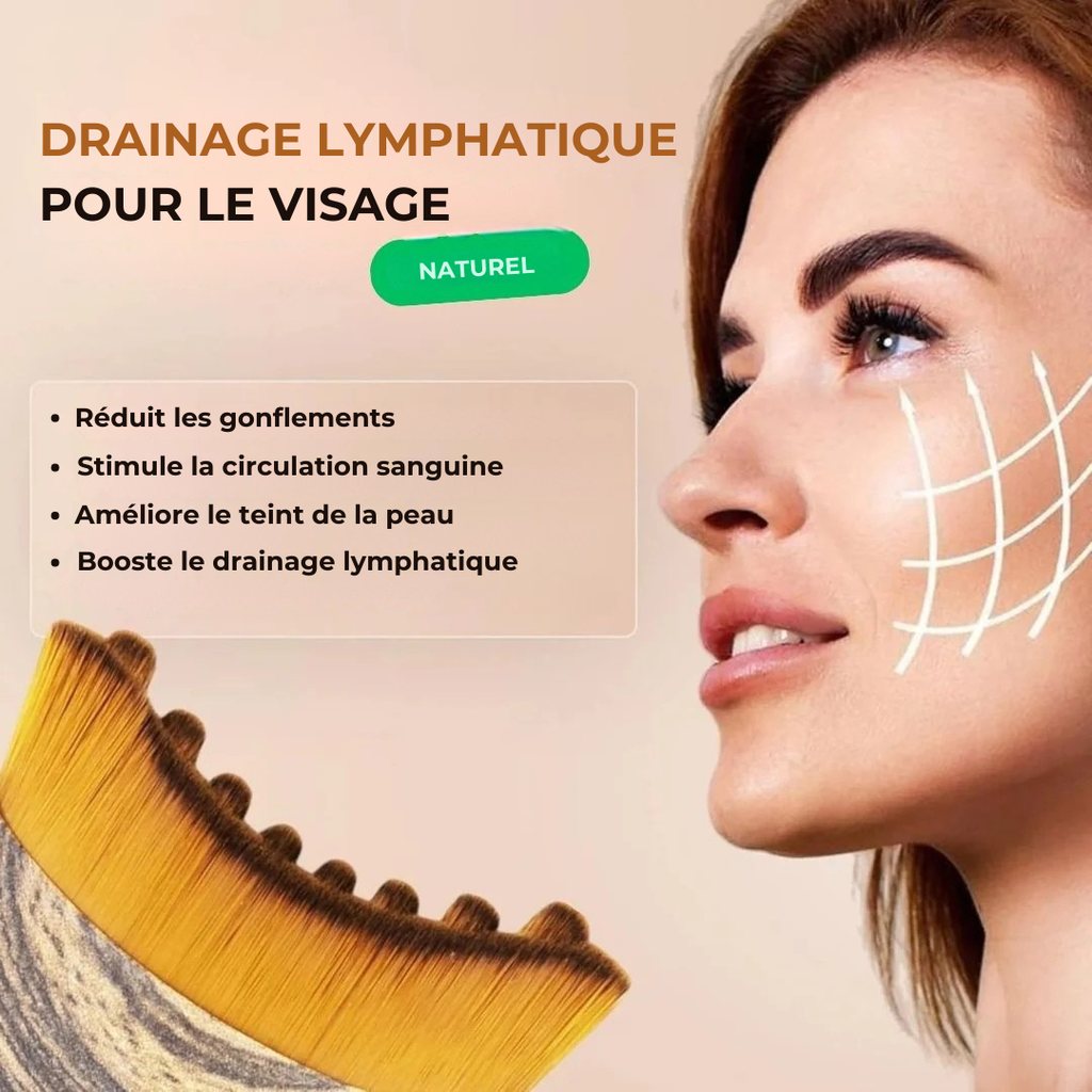 Brosse Lymphatique Offerte
